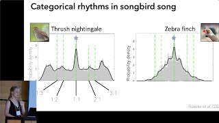 Categorical rhythms in sperm whale codas - Taylor Hersh