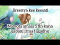 Jireenya Kee Keesati Namota Amala 5 Fin Kana Qabani Irraa Fagadhu Jireenya Kee Keesati Namota Amala 5 Fin Kana Qabani Irraa Fagadhu