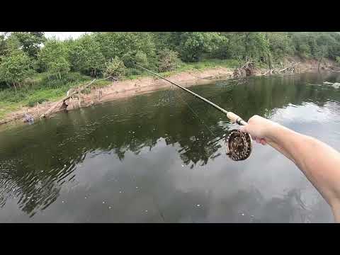 Hit and Hold Double Figure Barbel On The Float