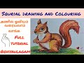squrial drawing and Colouring.அணில் ஓவியம் வரையலாம் வாங்க.@Oviyaulagam