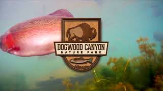 Dogwood Canyon Nature Park | 60 Second Commercial | Lampe, Missouri |
