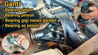 Mengganti bearing pinion gardan &amp; seal as pinion/Bearing gigi nanas gardan carry pick up(futura)Tss