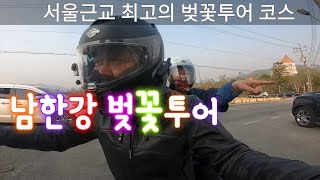 서울근교 최고의 벚꽃투어 코스 소개.