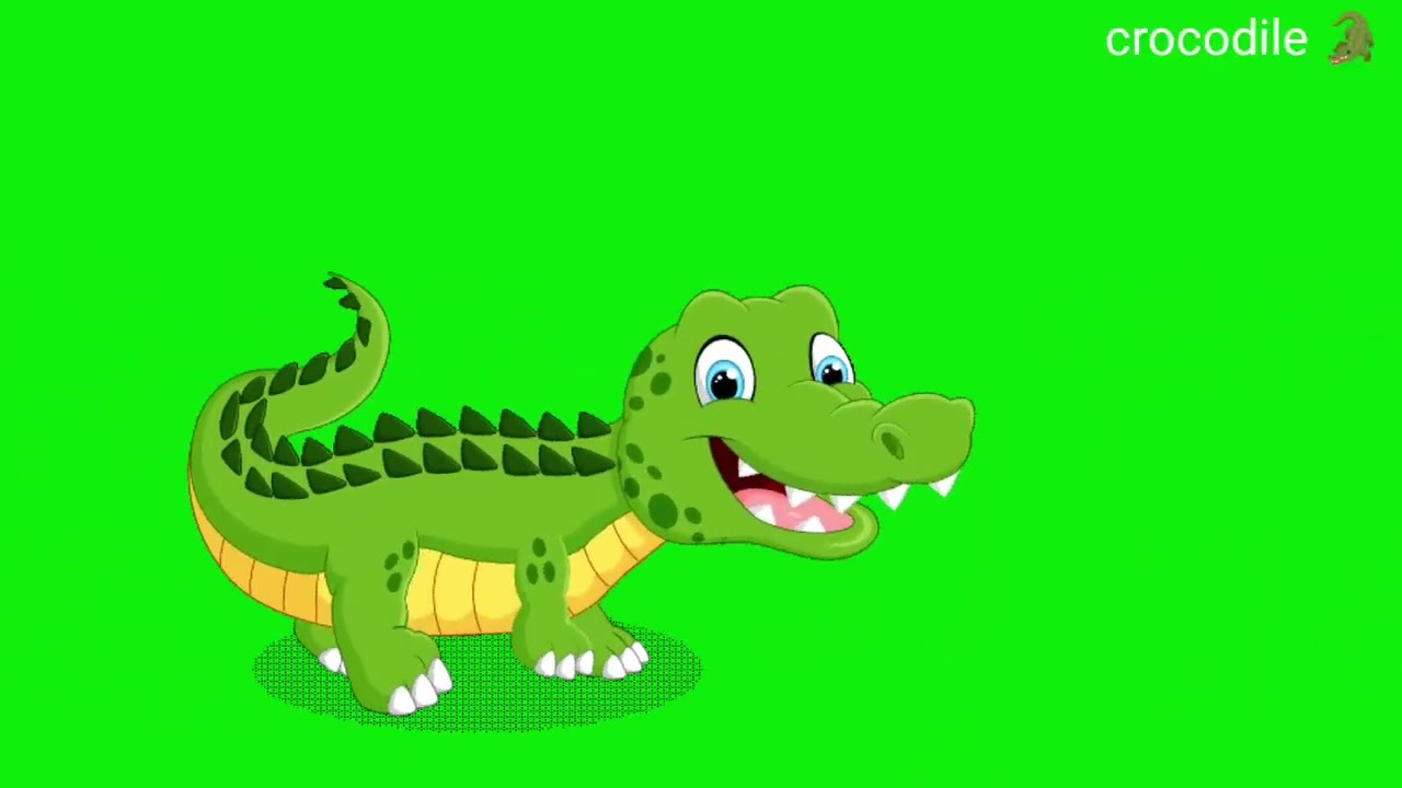 Animal running green screen video animal green screen stamped wild animals stamped 🦛