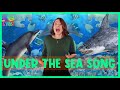 Under the sea song for kids  sea animals song for children  learn about the ocean for kids