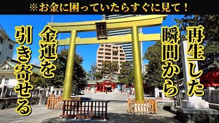 【⚠️お金に困っていたらすぐに見て!】この動画を再生した瞬間から金運を引き寄せます🌈✨【金神社】