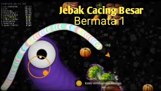 Jebak Cacing Besar Alaska,Langsung Peringkat 1 Dunia - Worms Zone.io