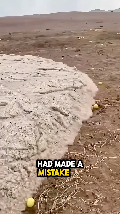 Don't get swept away by a sand tide