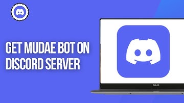 How to Get Mudae Bot on Discord Server