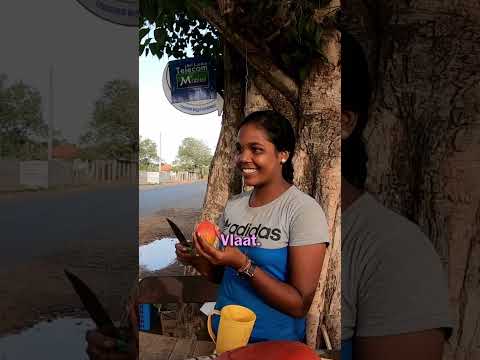 Sweet Mango in Jaffna, Sri Lanka 🇱🇰