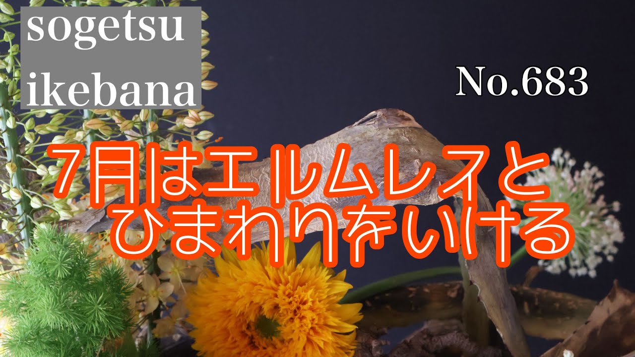 マリアの目が花 Arranging Eremurus and Sunflowers in July No. 683 - YouTube