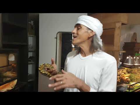 איך הזוחלים שלנו נהנים בזמן שאנחנו בבית