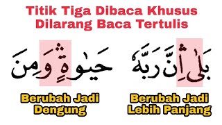 Terbata-bata Langsung Lancar, Ada Titik Tiga Dibaca Khusus, Belajar Waqaf Muanaqah