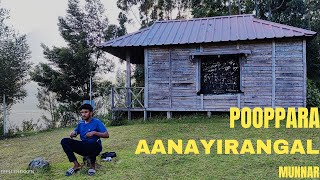 പൂപ്പാറ ആനയിറങ്ങൽ വഴി മൂന്നാറിലേക്ക് | Poopara,Aanayirangal,Munnar