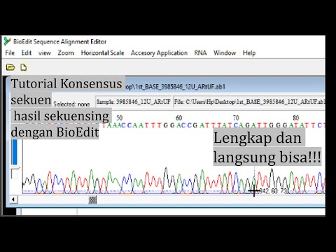 Video: Apa itu urutan konsensus?