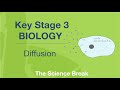 Understanding Diffusion