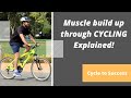 How to build muscles through cycling explained  melt your cheese