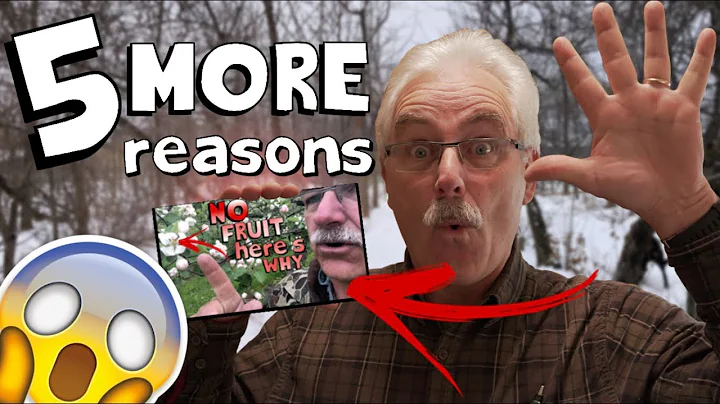 5 REASONS WHY Your Fruit Tree is not Producing Fruit