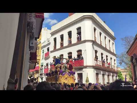 Pontificia, Real e Ilustre Hermandad Sacramental Purísima Concepción Ánimas Benditas del Purgatorio, San Sebastián Mártir y Archicofradía de Nazarenos del Santísimo Cristo de la Exaltación y Nuestra Señora de las Lágrimas