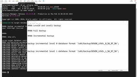 RMAN Level 0 & Level 1 Backups for DBAs