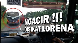LORENA vs Haryanto Netral kw Ngacir @ Surabaya Toll Road