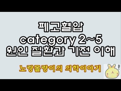 폐고혈압(pulmonary hypertension) 분류(catergory 2~5) 원인과 기전 이해