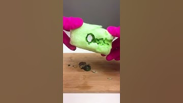 Hottest Iron | Experiment No.441 | Funny Tricks #Experiment #Tips #Shorts #ytshorts