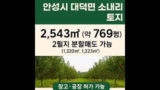 안성시 대덕면 소내리 토지