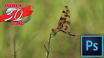 Photoshop | Duplicate Layer