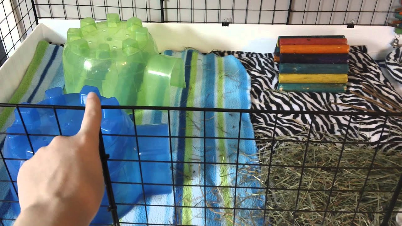 Guinea Pig Cage Tour | 2x4 C&C Cage