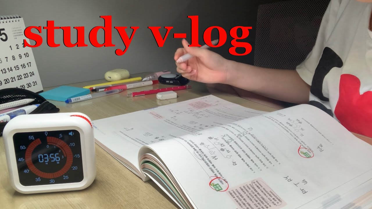 재수생 광기 하루 16시간 공부 브이로그 낋여옴.