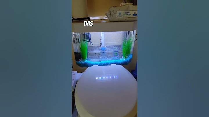 How to make a toilet fish tank #shorts