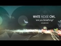 White Noise Owl - Are You Breathing?