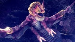 Mhwiceborne Coral Pukei Pukei Intro