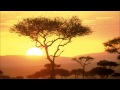 Relax music  around the world  africa  one hour of stressless african instrumental music
