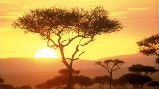 Relax Music - Around The World - Africa - ONE HOUR of stressless african instrumental music