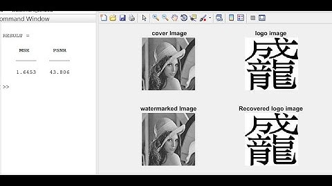 A Watermarking Algorithm Based on DCT and JPEG Quantization Table