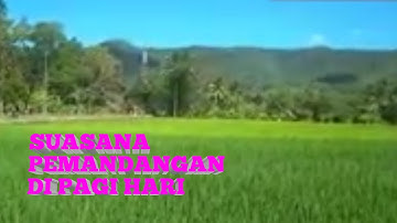 SUASANA PEMANDANGAN DI PAGI HARI #pemandangan #pedesaan .