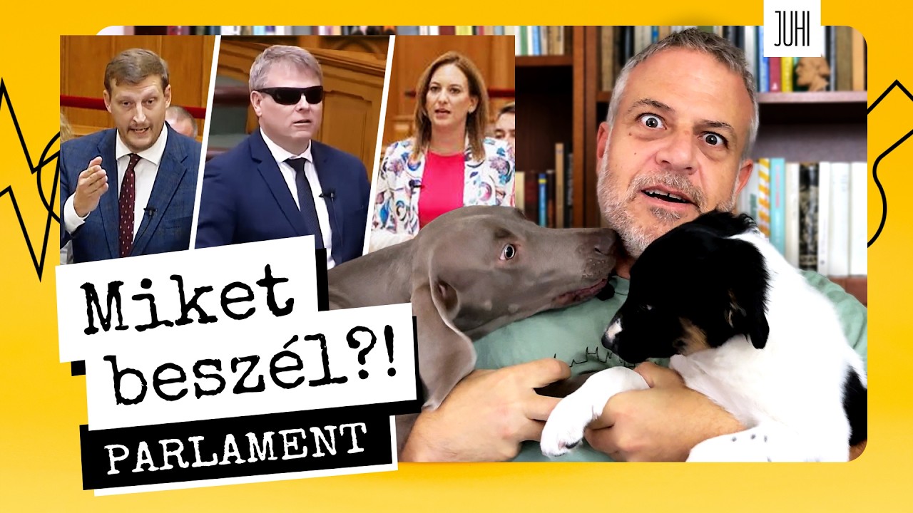PÓCSÉK mentelmi ügye és ÚJABB CSÖRTÉK a Parlamentben 😖 Miket beszél?!