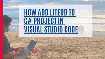 How Add liteDB to Net Project in Visual Studio Code
