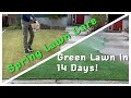 Spring Lawn Care | Green Lawn in just 14 Days!