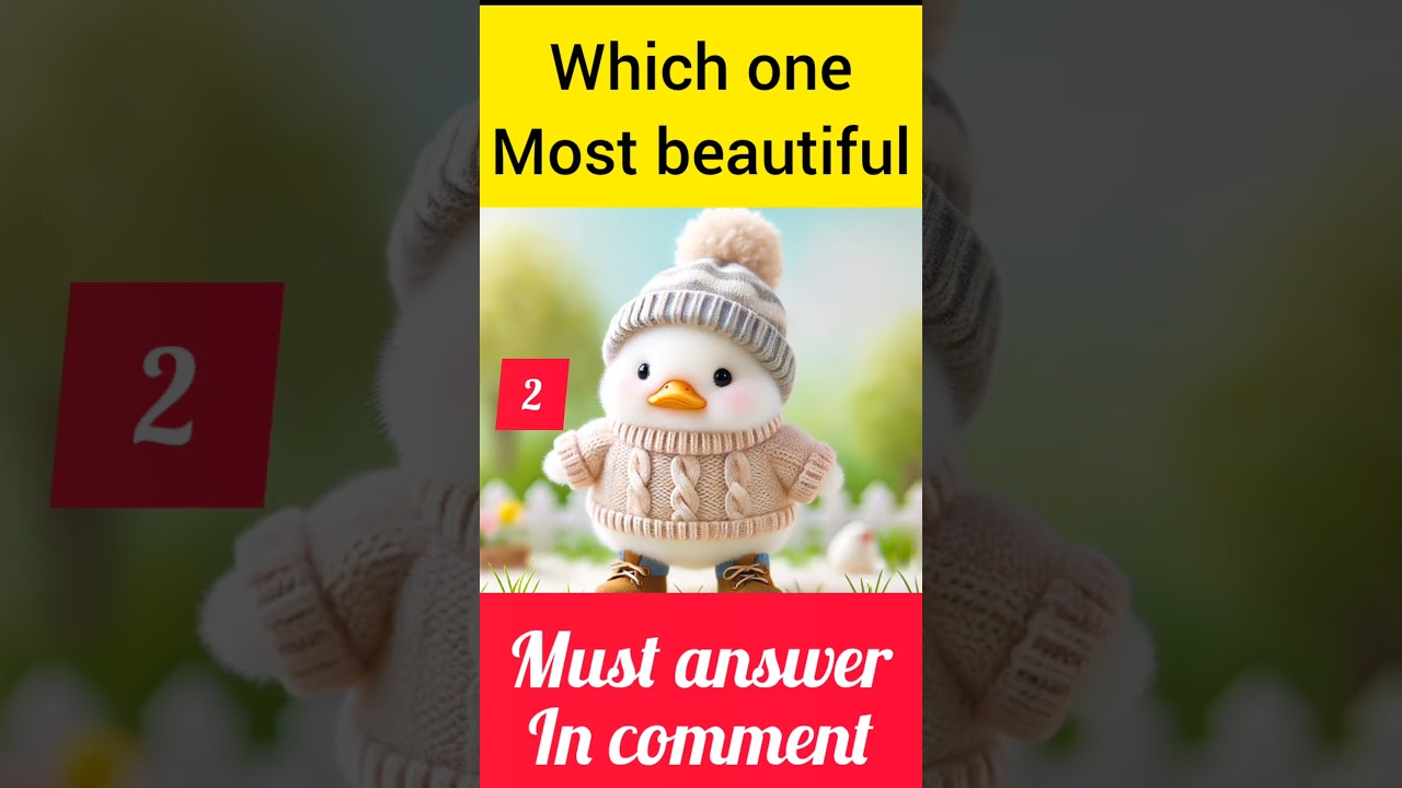 Which One Most Attractive