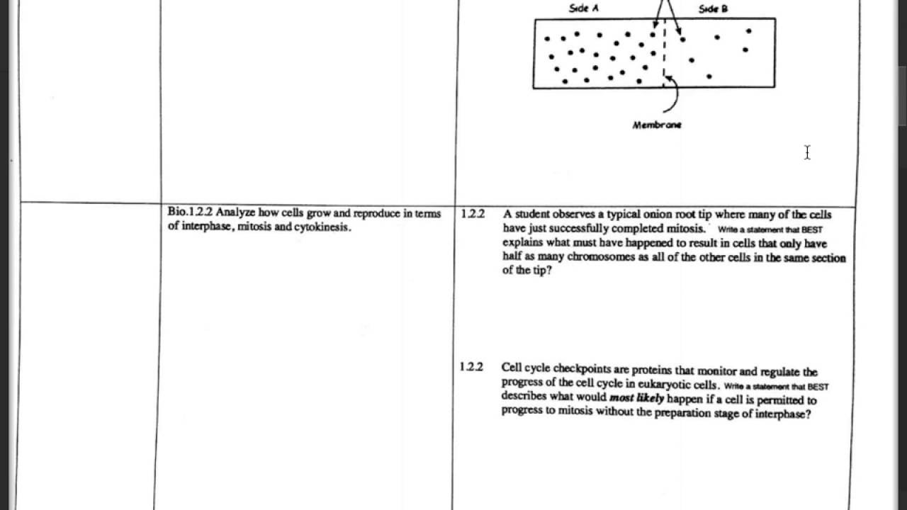 Biology Assessment EOC Review YouTube