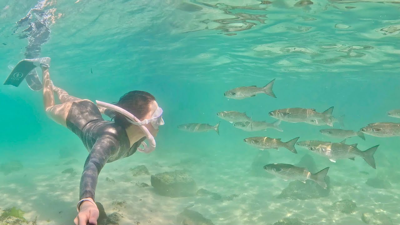 몰디브 만큼 투명한 협재 해수욕장🏝️ 물색 미쳤다 | 제주도 서쪽 스노클링 포인트