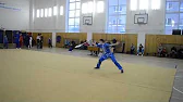 Wushu Mangust