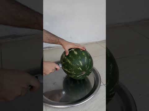 حمرا ولا بيضا  ا   