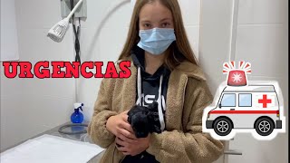 SE PONE MALA y vamos a URGENCIAS / va al médico por primera vez.