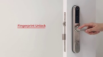 Fingerprint Wifi Smart Door Lock S31B-C