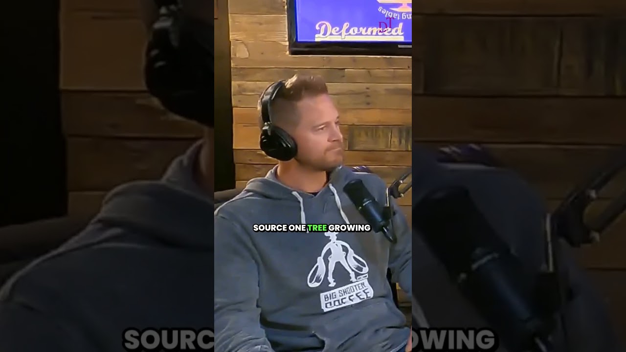 Walk by the spirit, not the flesh