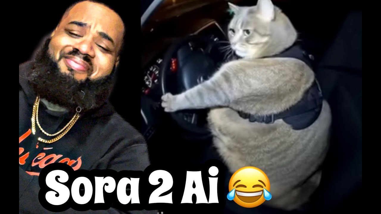 BEST OF SORA 2 AI MEMES | REACTION - YouTube